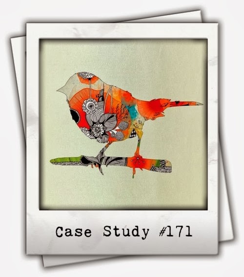 Bird diversity research paper pdf image