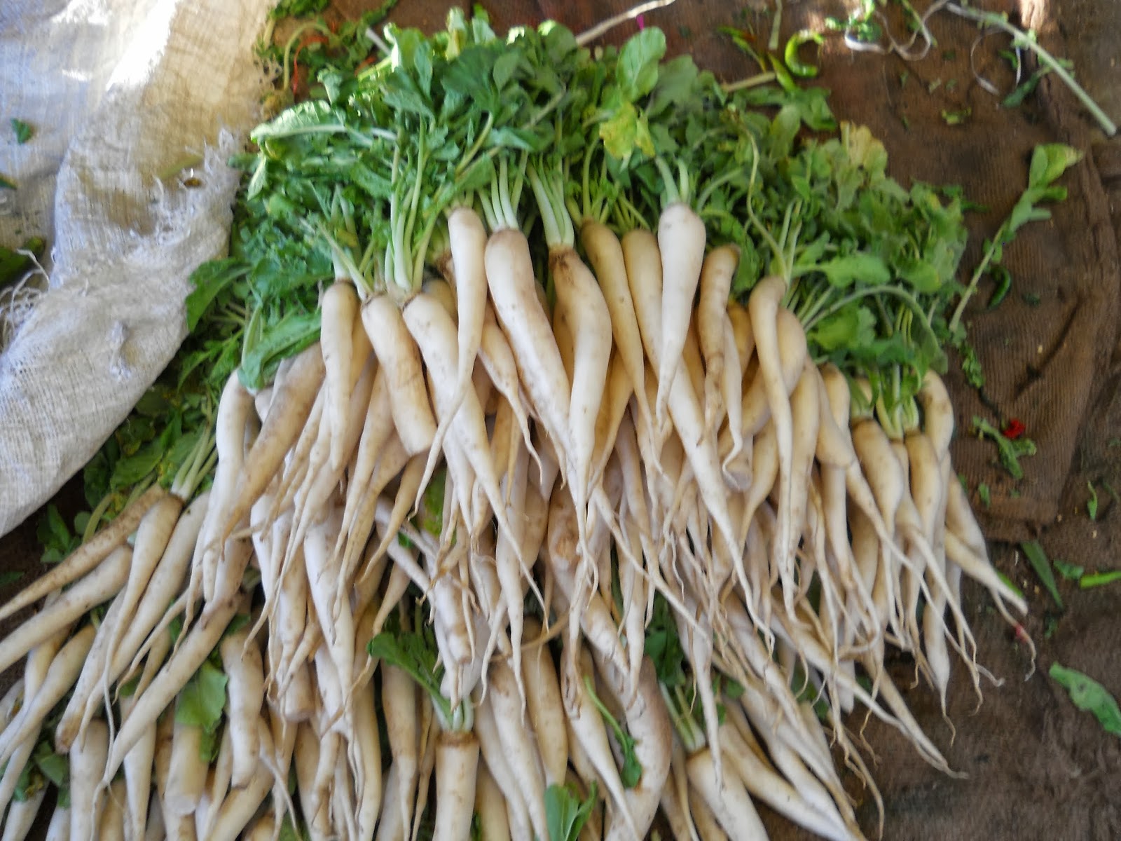 Radish Aadhya Empowering Women