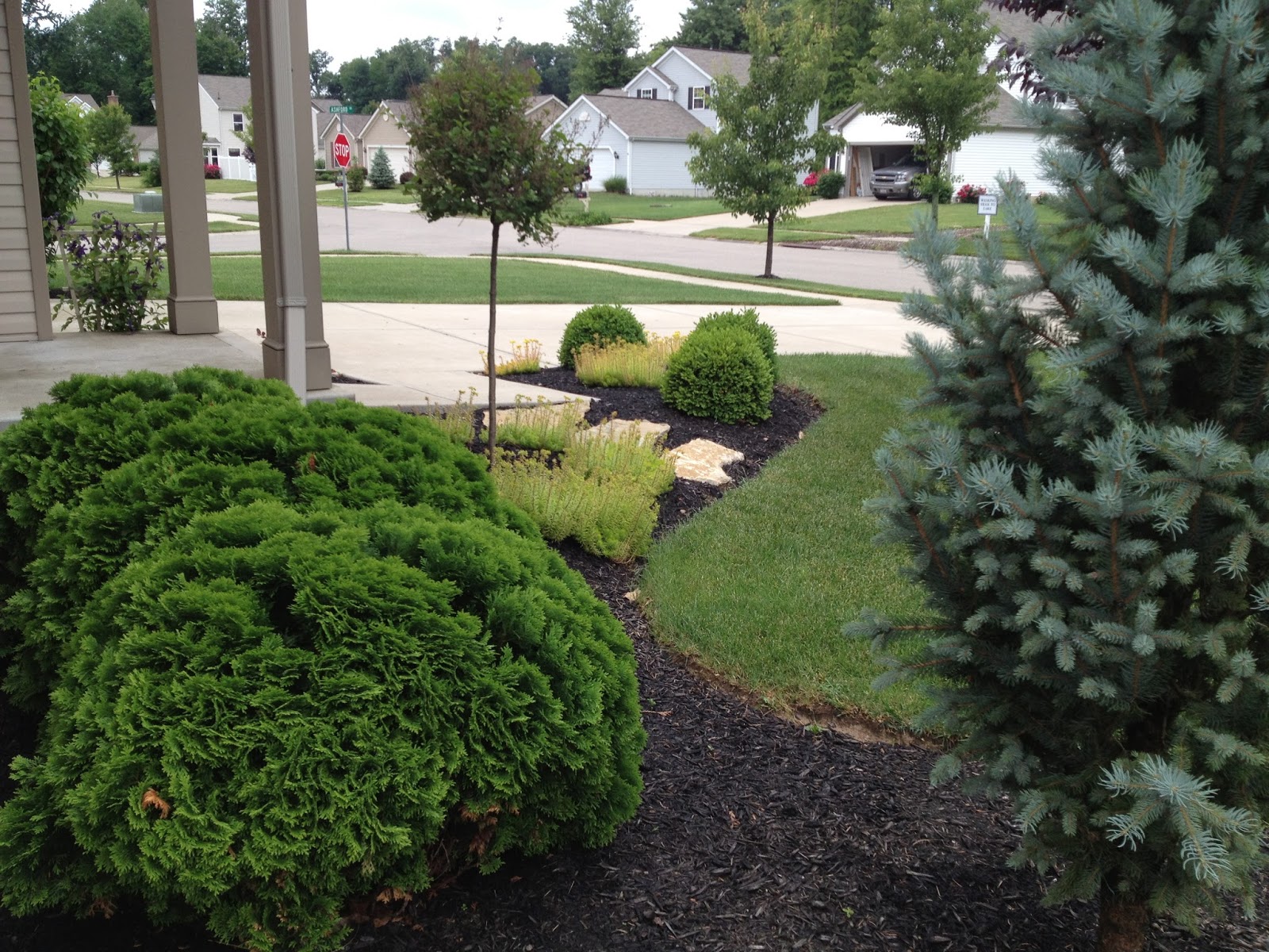 MY LIFE BY DESIGN: landscaping update: the front yard...