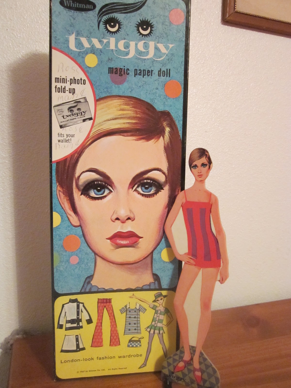 Essay on a twiggy image 08 picture