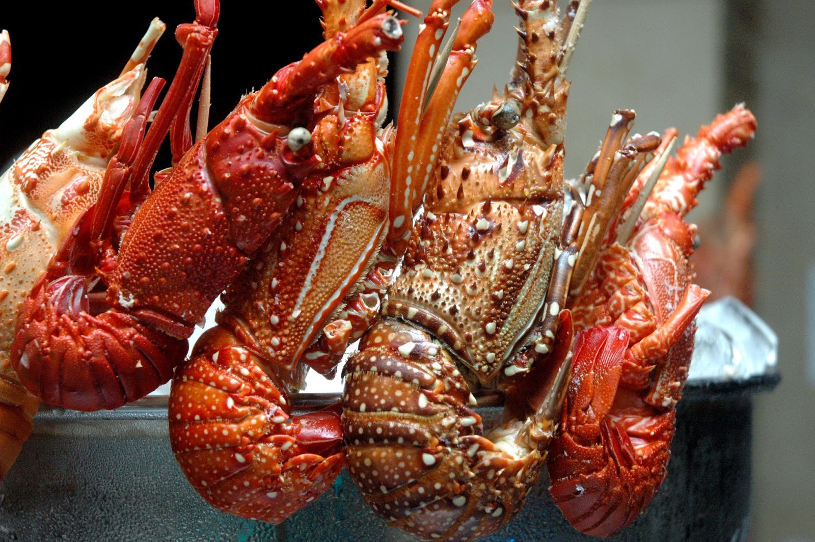 DUDE FOR FOOD: Go Mad for Lobster at Edsa Shangri-La Manila's HEAT