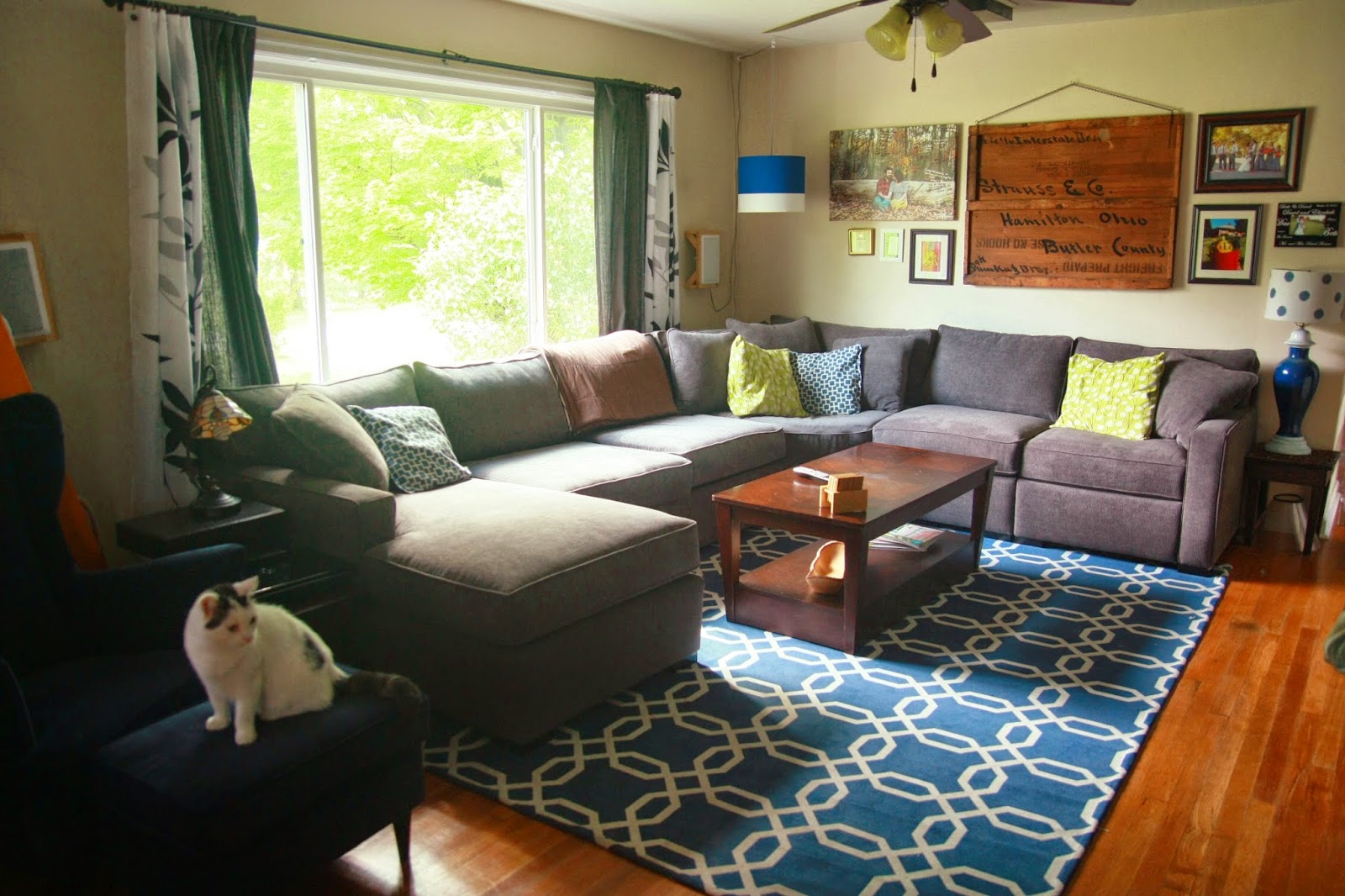 Over on Dover Choosing a New Couch