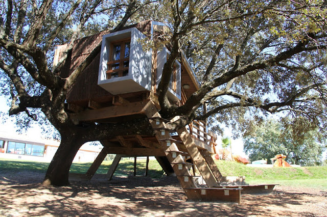 Casa na árvore enraizada