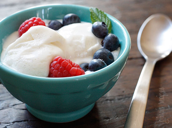 Frozen Low Fat Yogurt 110