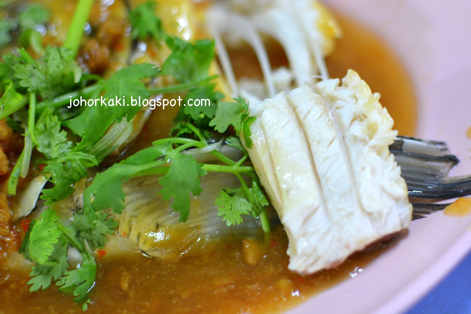 Chinatown Seng Kee 119 Famous Steamed Fish Head Singapore 成记驰名酱蒸松鱼头