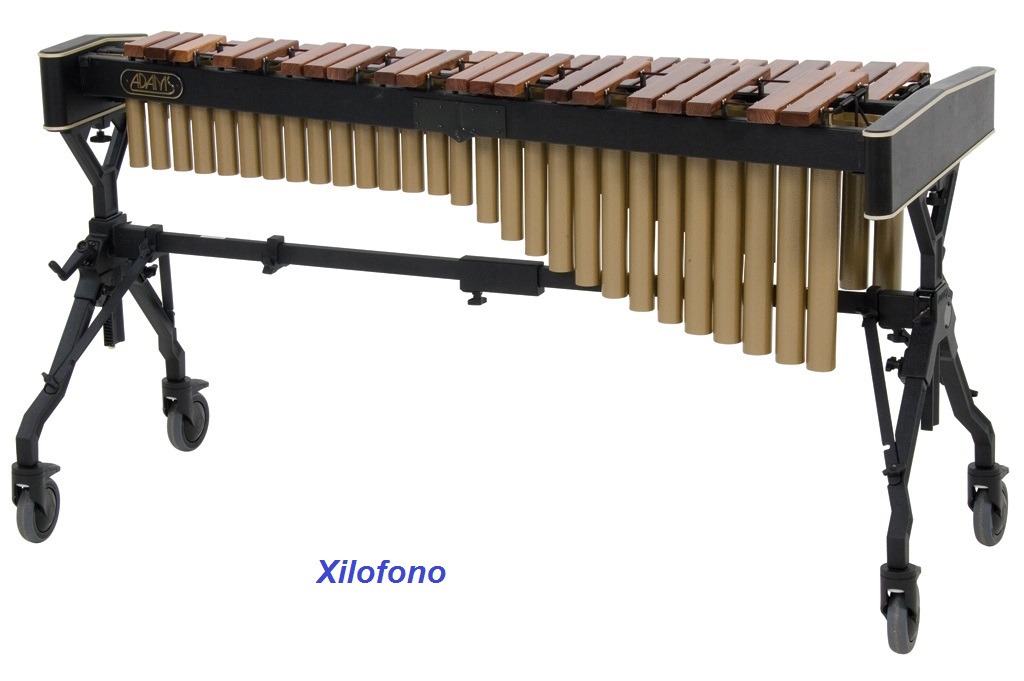 gocce di note: strumenti musicali - xilofono e glockenspiel (musical