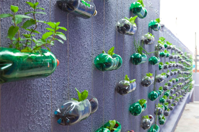 jardim vertical urbano:Plastic Soda Bottle Garden jardim vertical urbano:Plastic Soda Bottle Garden