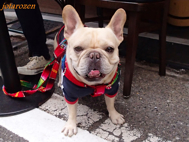 Footsteps - Jotaro's Travels: Photo Gallery : Colours Of Japan