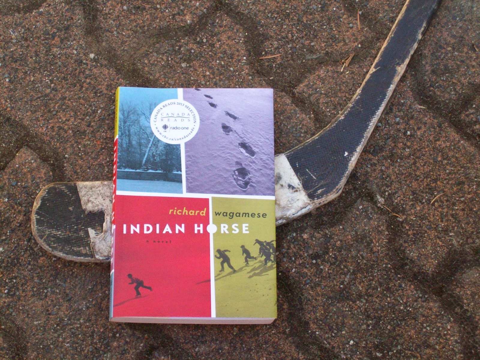 Image result for indian horse book cover