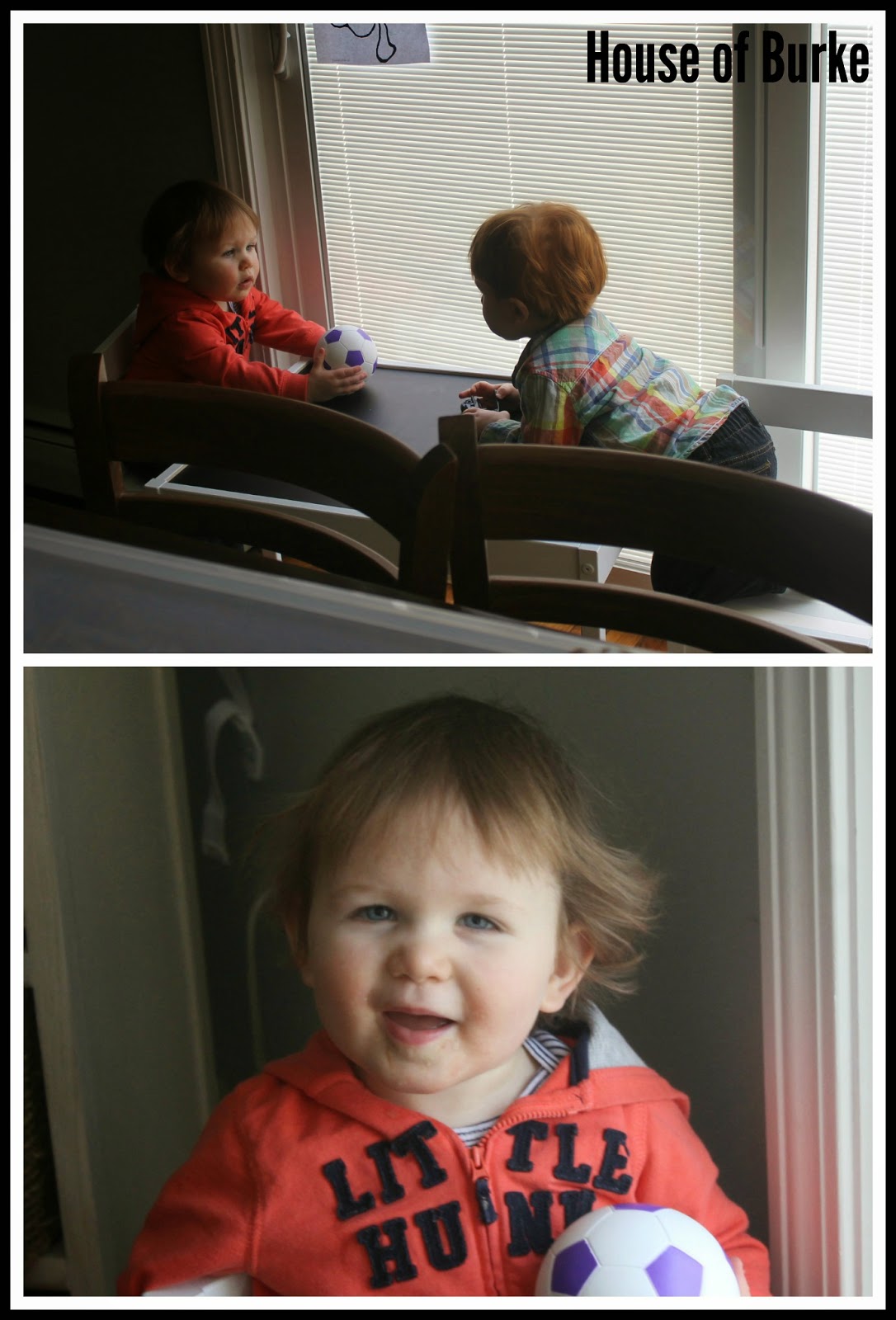 House of Burke Baby Book Club March Moo, Baa, La La La!