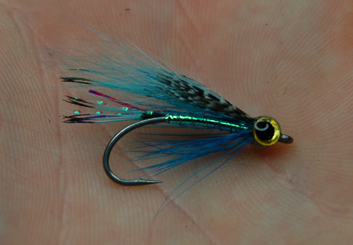 Foyle Trout & Salmon Flies Generic Salt water SeaTrout Flies