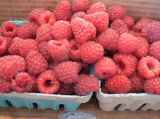 Red Raspberries