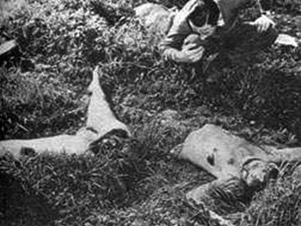 100 ярких фото георгин в саду особенности ухода
