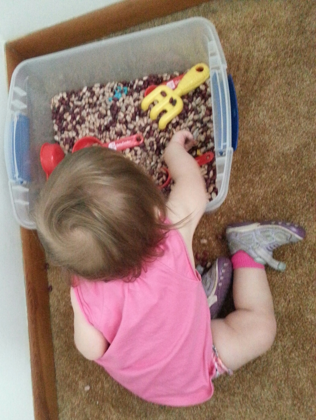 Elementary School Garden Sensory Bin for Monday Made It