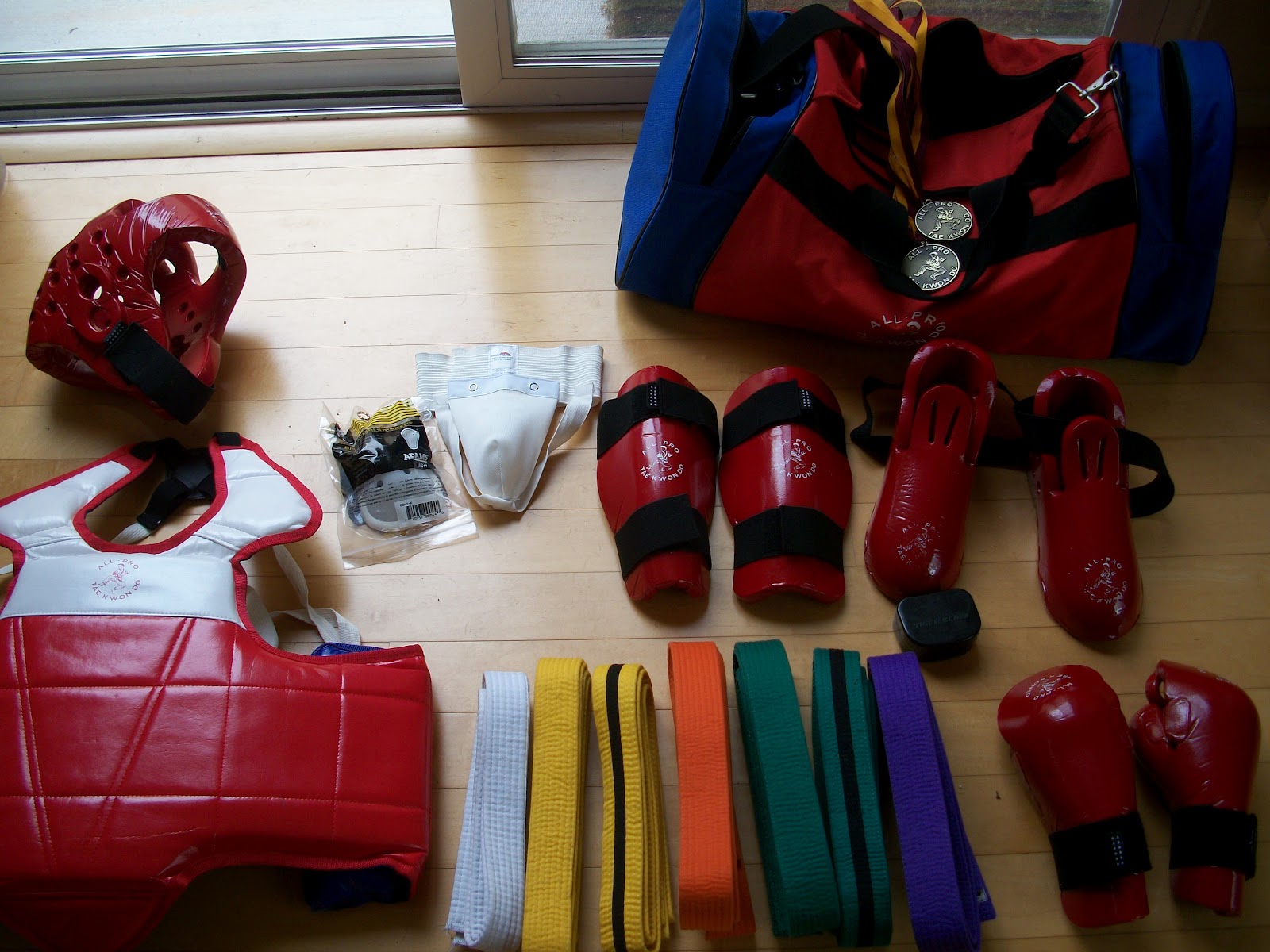 Always Spring Cleaning Full Martial Arts Sparring Kit