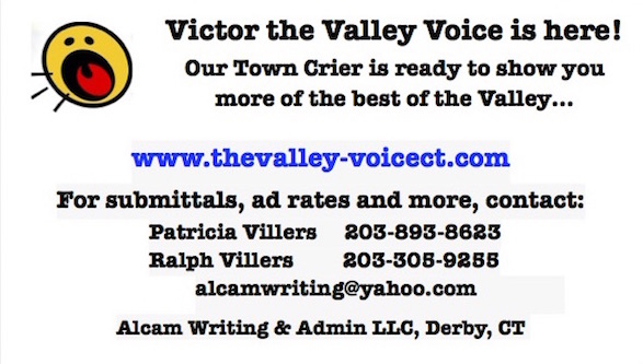 The Valley Voice