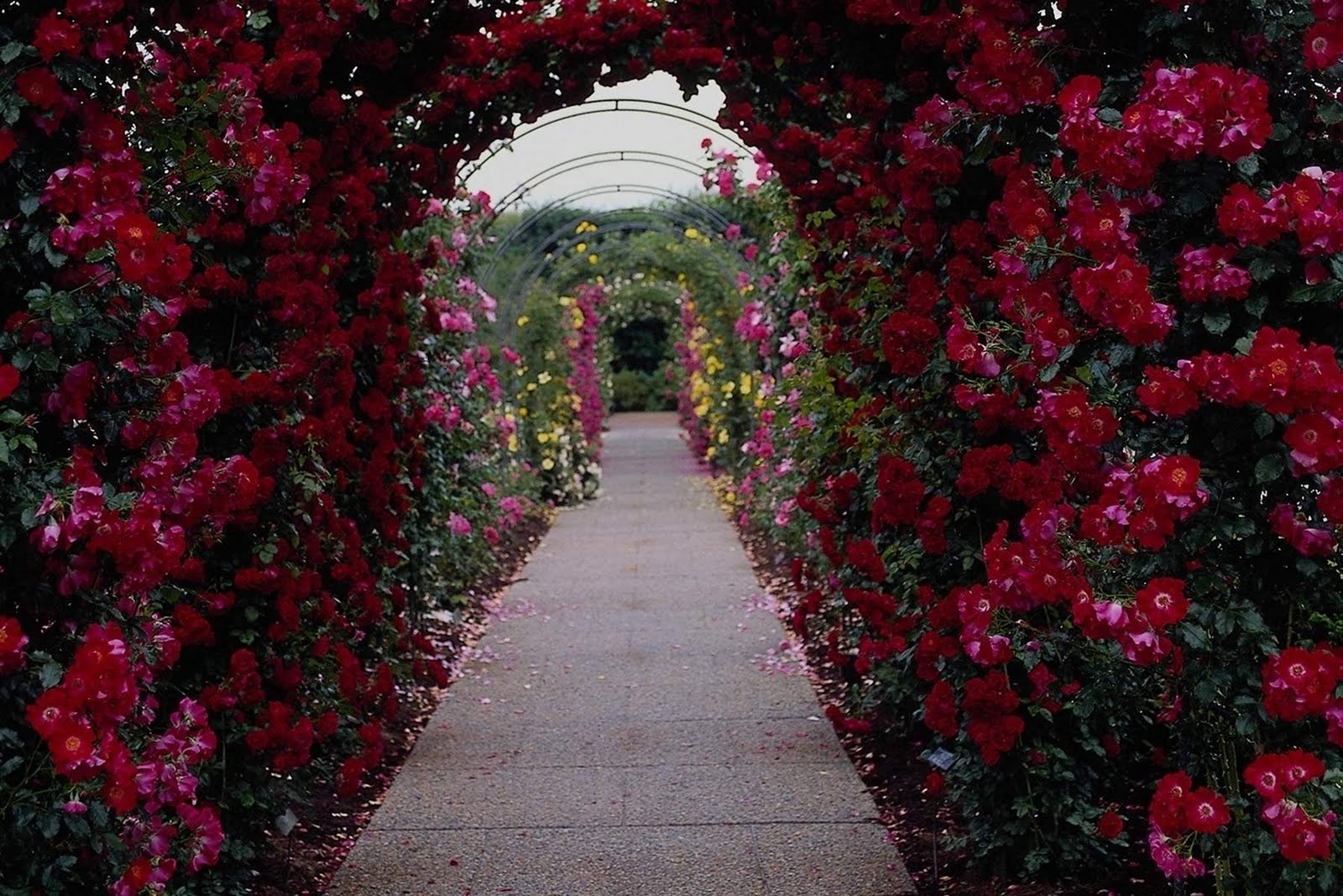 Beautiful Flower Garden Wallpaper Beautiful Flower Garden Wallpaper