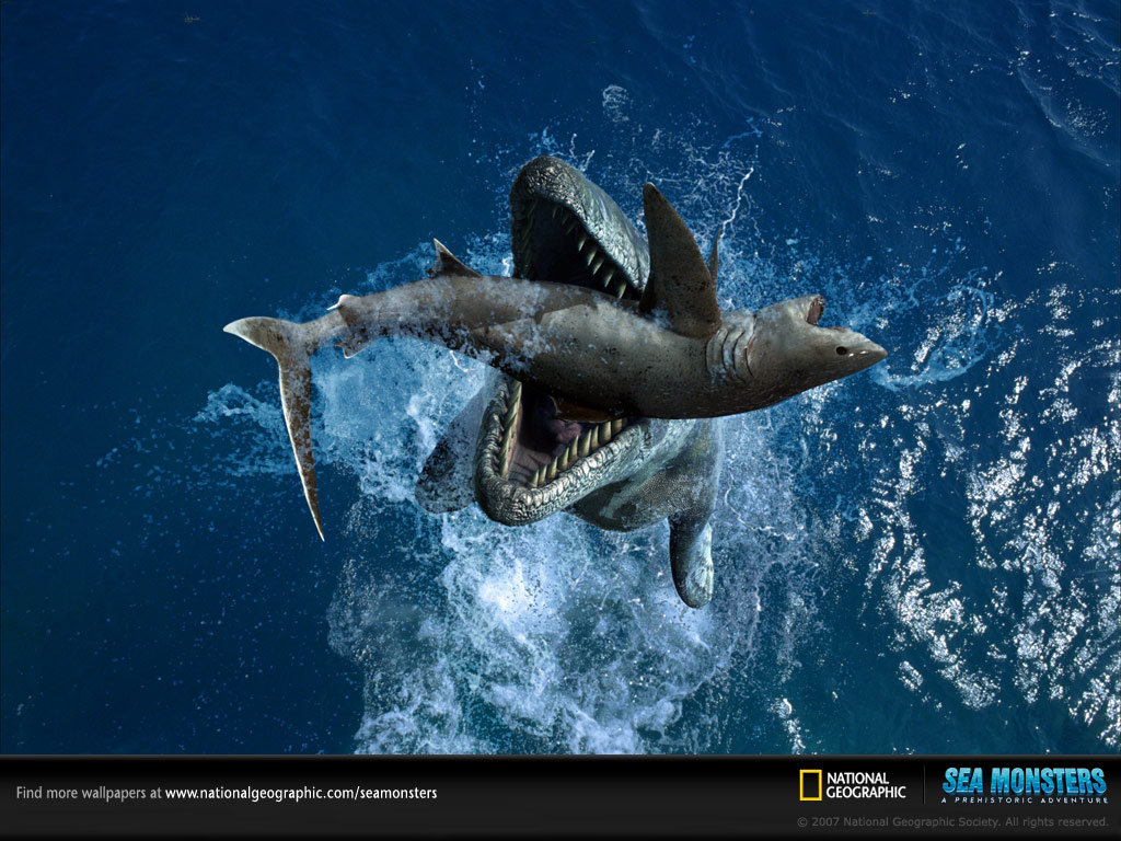 http://4.bp.blogspot.com/-EYteEbXkkfQ/T2b_Fx9xLZI/AAAAAAAAAo8/PxtwMkHogI0/s1600/tylosaurus-squalicorax-caught-on-camera-catching-a-shart-national-geographic.jpg