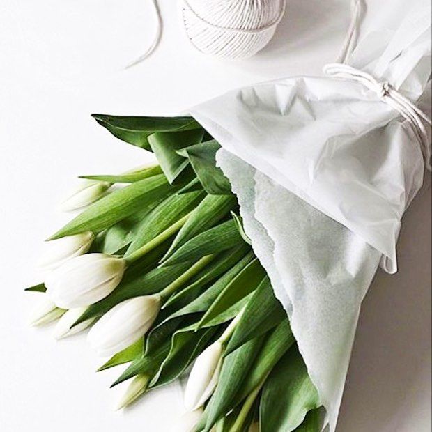 white tulip on cool chic style fashion