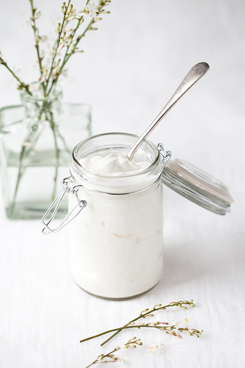 Greek Vegetarian Homemade Greek Yoghurt