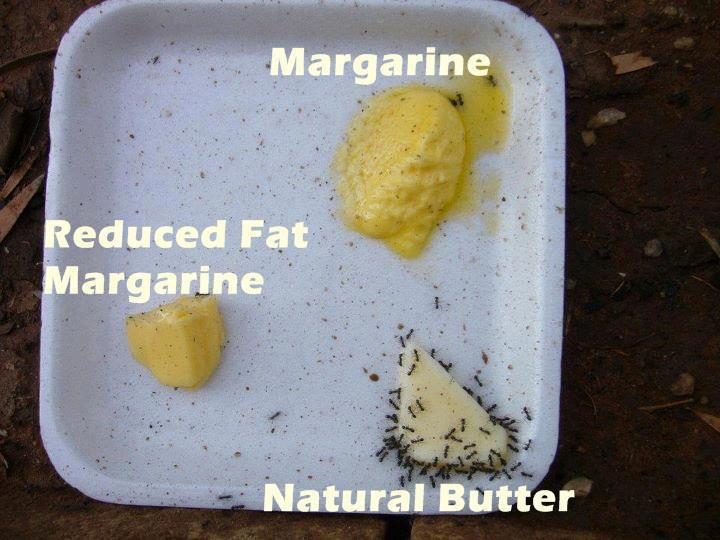 Yuk%2BMargarine.jpg