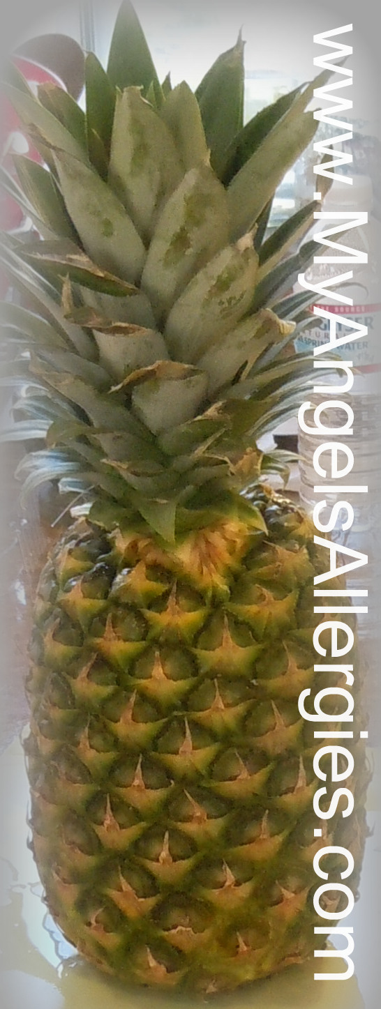 How to cut a Pineapple My Angel's Allergies