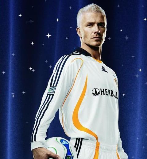 david beckham david beckham