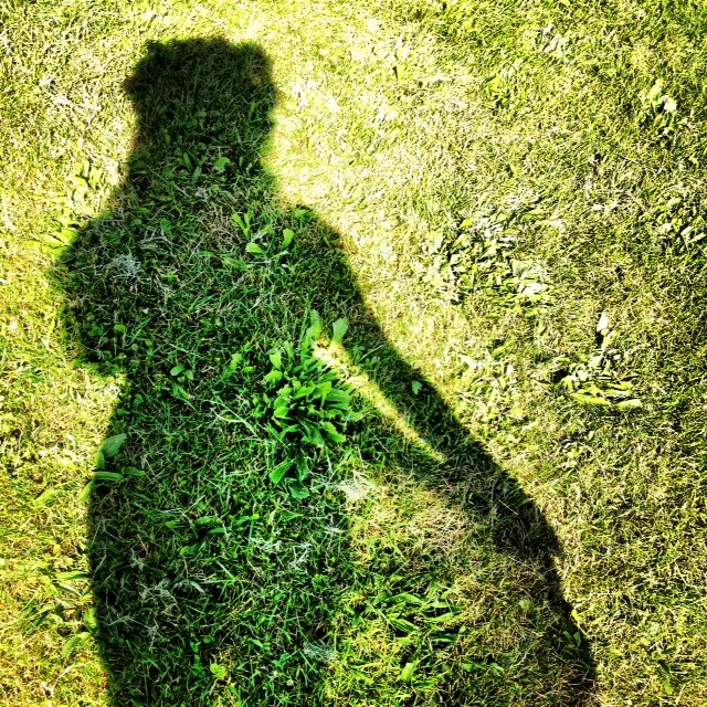 shadow puppet shadow fun, shodow art