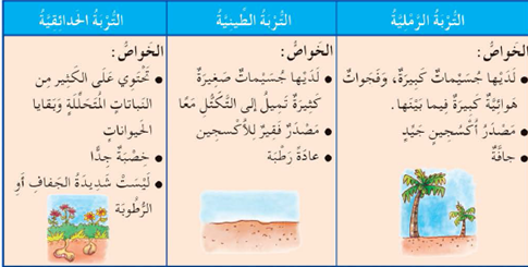 تحتاج النباتات الى الضوء لكي تنمو المكتبة التعليمية