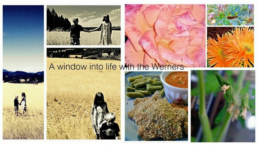 a window into life with the Werners
