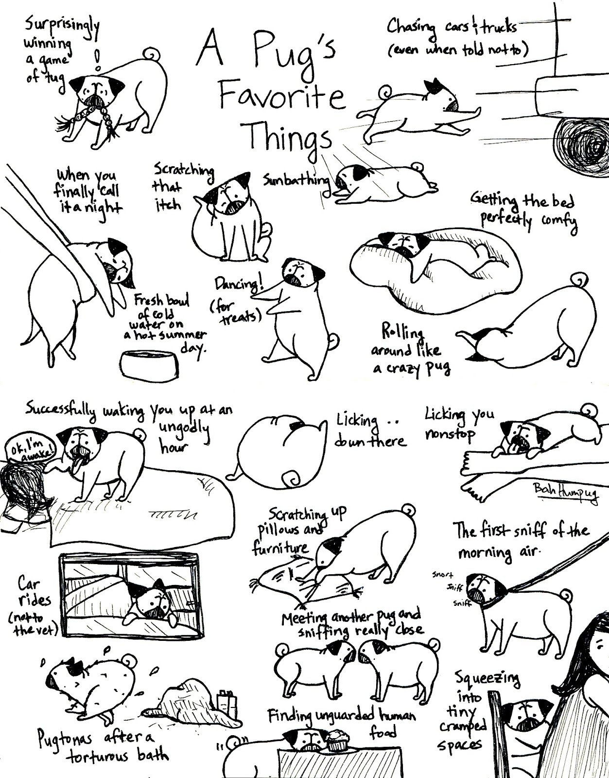 pug things bah humpug august 2012 pug things bah humpug august 2012