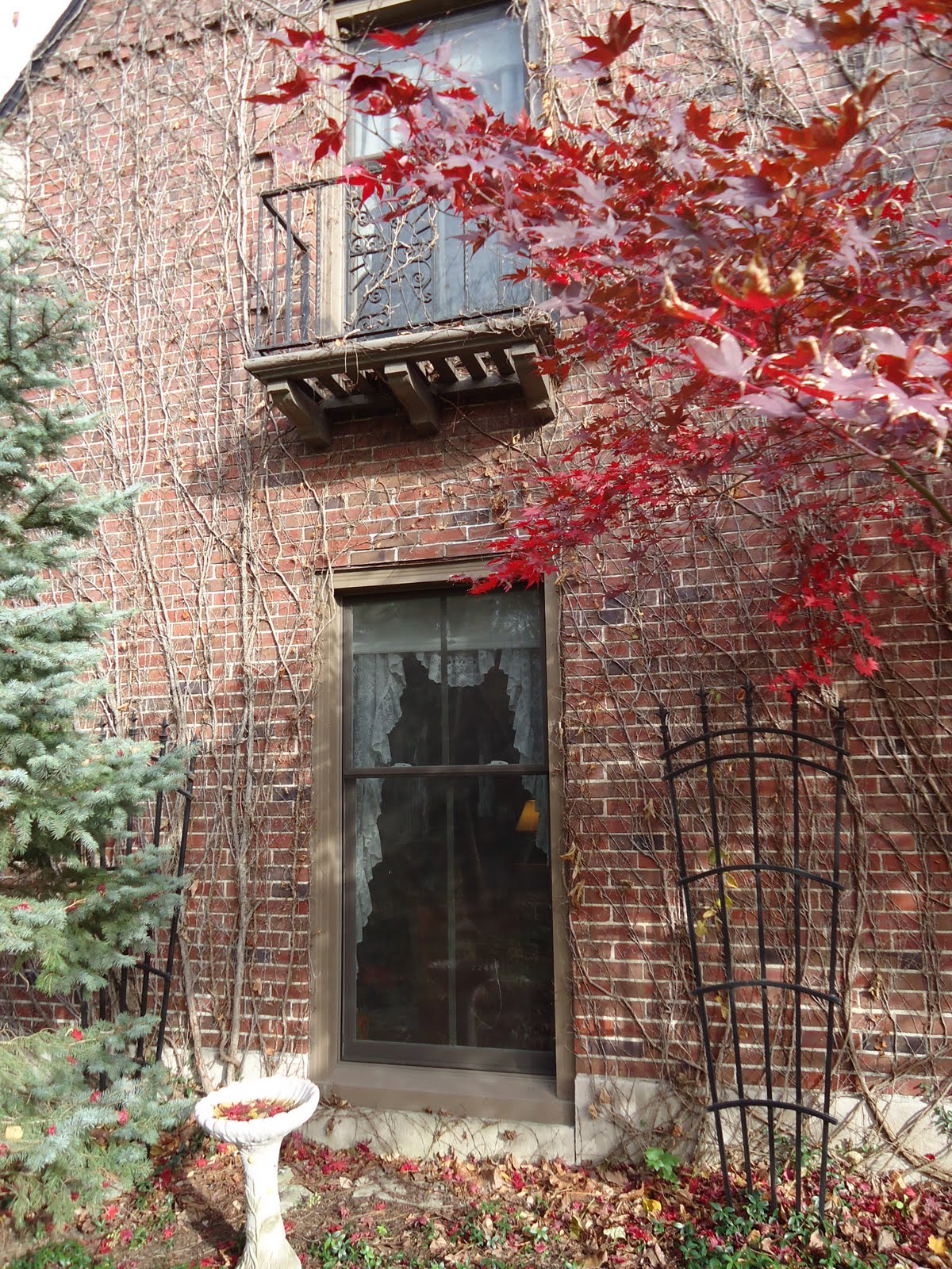 dallas-beewindow: Renewal by Andersen Windows