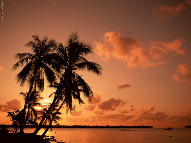 جزيرة الفردوس أكثر لالتقاط الأنفاس World%2527s+Most+Breathtaking+Island+Paradise+%25287%2529