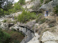 El corriol enlairat sobre el Torrent de Les Fonts El corriol enlairat sobre el Torrent de Les Fonts