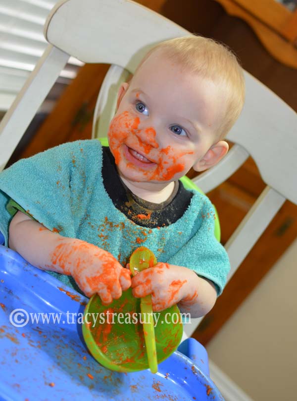 Tracy's Treasury Dish Towel Bib Tutorial