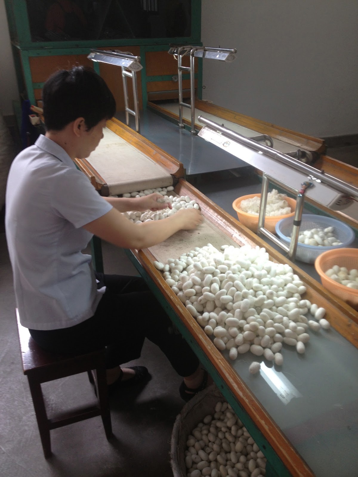 The Life of H. Ernest Chen The Process of Making Silk