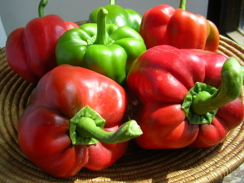 MY KITCHEN IN SPAIN ON A PEPPER ROLL