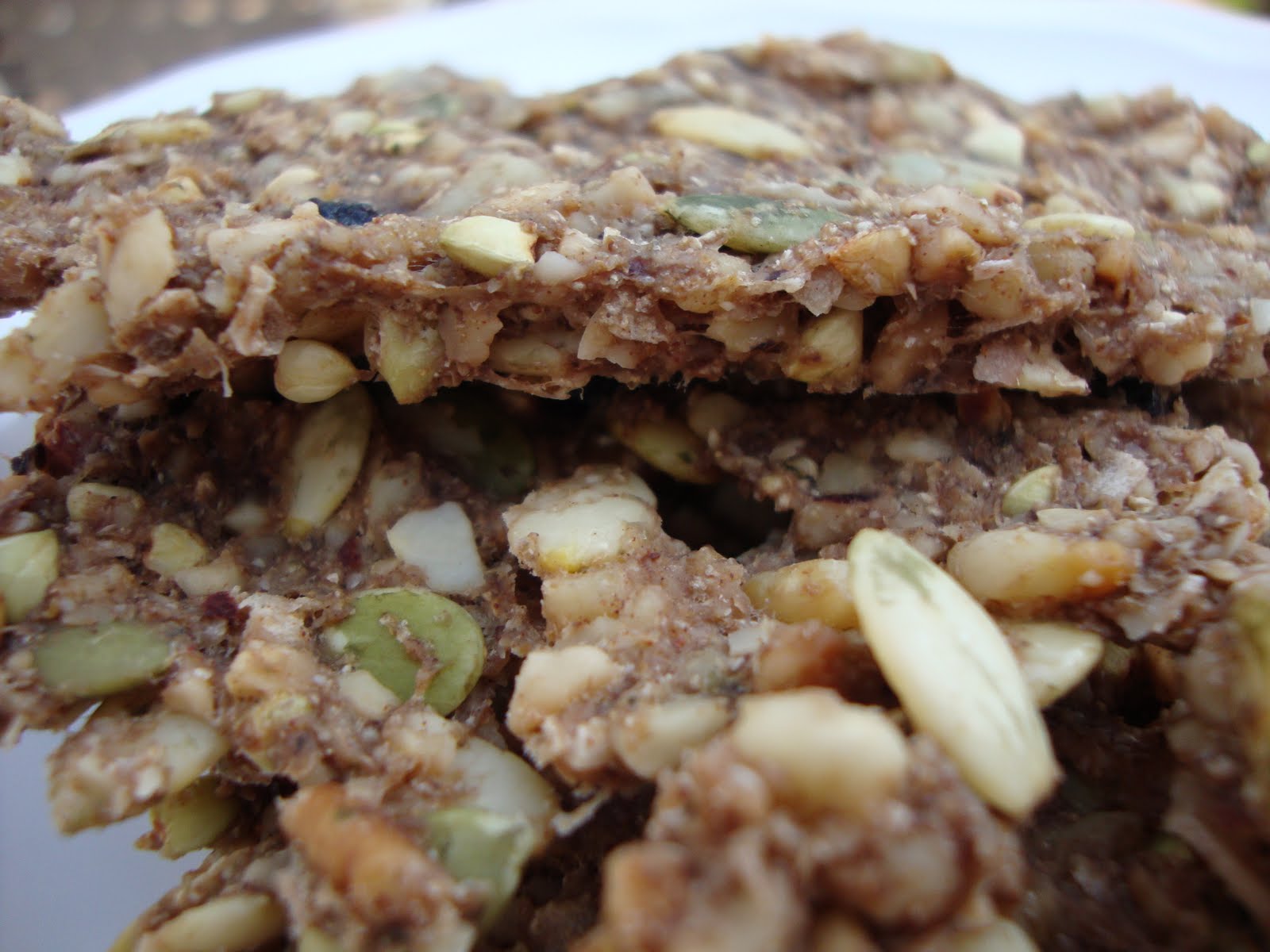 eryn jones Blueberry Coconut Granola Bars