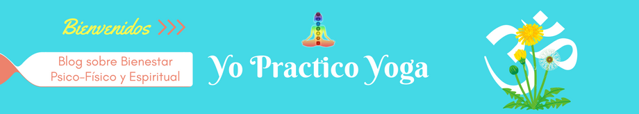 Yo Practico Yoga