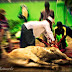 Arti Mimpi,, Tukang sembelih