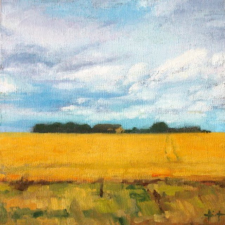 Wheatfields by Liza Hirst