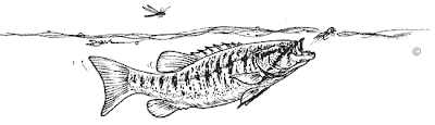 Original fly fishing clip art