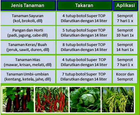 jual pupuk cair pupuk cair organik nutrisi hidroponik jual pupuk cair pupuk cair organik nutrisi hidroponik