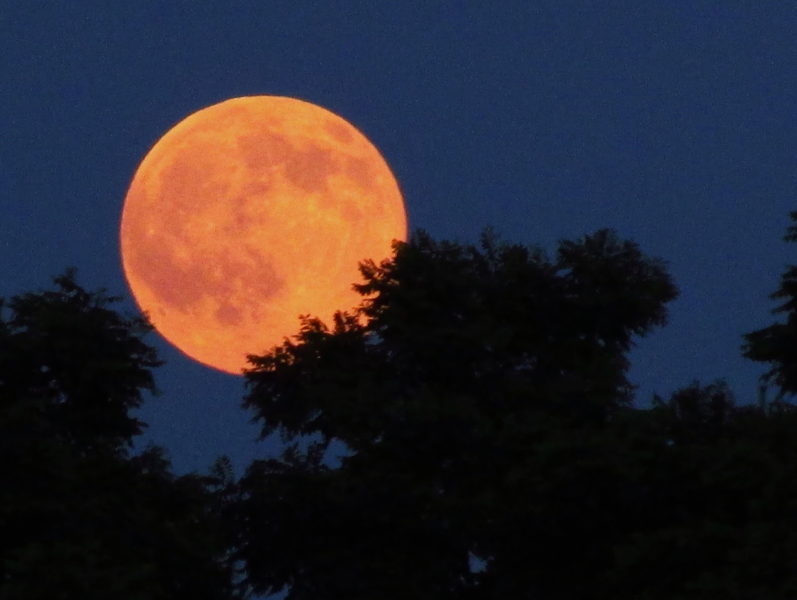 Three Bright Planets Over Wingra Park >> Mad Phenology July 2015 Three Bright Planets Over Wingra Park >> Mad Phenology July 2015