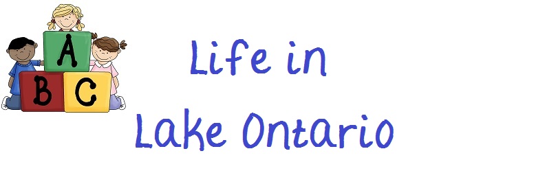 Life In Lake Ontario