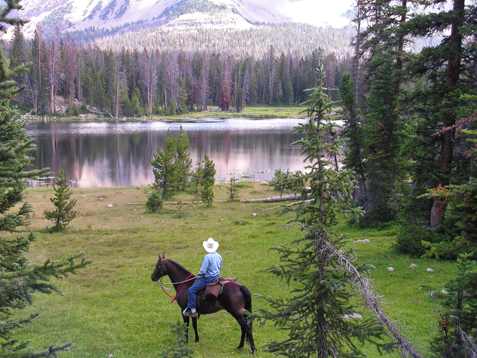 Dream Packer Trail Adventures Mirror Lake Utah Horse Camping