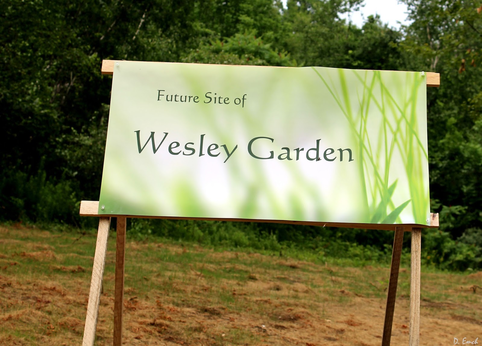 then we are off to the methodist church where they have acquired six acres to be used as a formal garden - Wesley Gardens Nursing Home then we are off to the methodist church where they have acquired six acres to be used as a formal garden - Wesley Gardens Nursing Home