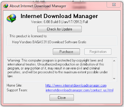 IDM Build 8 Crack Serial Key Full Version {% working} idm full crack windows 8 bagas31