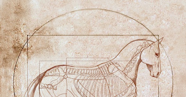 catherine twomey the arts davinci horse print sale united states curriculum vitae