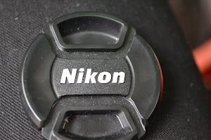 Nikon D3100 14 Megapixels